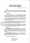 Vista preliminar de documento Resolución de Direccion Ejecutiva N°042-2017-PATPAL-FBB-MML
