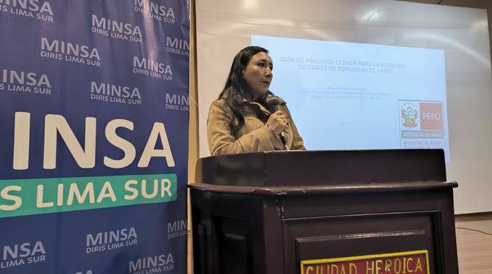 Diris Lima Sur fortalece competencias del personal en atención de casos de dengue y otras enfermedades metaxénicas