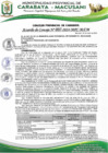 Vista preliminar de documento ACUERDO DE CONCEJO N° 007-2024-MPC-M-CM