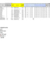 Vista preliminar de documento PRESUPUESTO ANALÍTICO PERSONAL NOMINAL - FORMATO A2