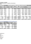 Vista preliminar de documento FORMATO C - RESUMEN