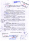 Vista preliminar de documento Resolución de Direccion Ejecutiva N°065-2017-PATPAL-FBB-MML
