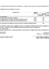 Vista preliminar de documento Anexo N° 06: Cuadro Multianual de Necesidades 2024-47