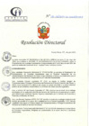 Vista preliminar de documento RD N°176-06-2024-DE-HCLLH-MINSA