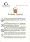 Vista preliminar de documento RD N°181-06-2024-DE-HCLLH-MINSA