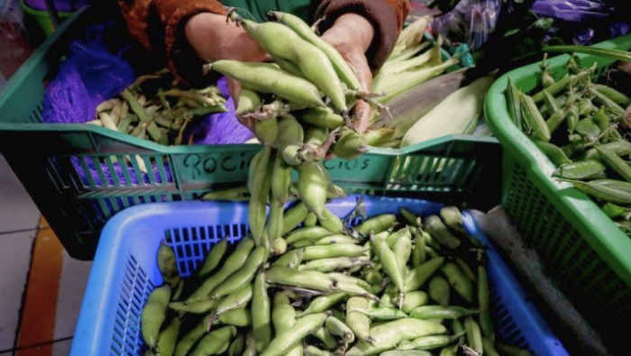 Hoy ofertas en yuca, haba, vainita, uva, naranja y melón en el mercado mayorista