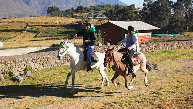 Gran carrera hípica local en San Pedro de Laraos