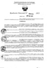 Vista preliminar de documento 5415