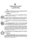 Vista preliminar de documento ra0633-2024