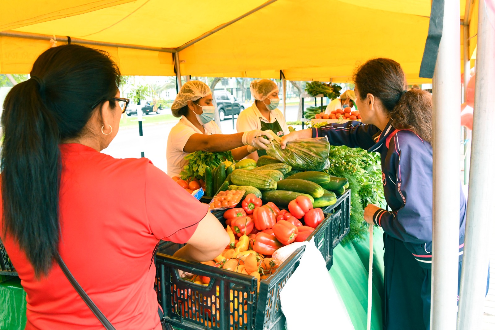 AGRO RURAL