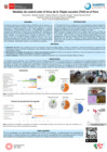 Vista preliminar de documento POSTER CONTROL TILV