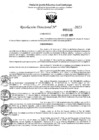 Vista preliminar de documento 5451