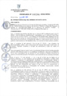 Vista preliminar de documento Ordenanza N.° 00294-2020-MDSA