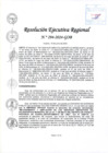 Vista preliminar de documento RER 294-2024-GOB