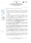 Vista preliminar de documento RGM-233-2024