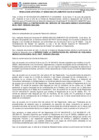 Vista preliminar de documento RJ 45-2024 COMITE AS 04-2024 SERVICIO SEGURIDAD