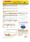 Vista preliminar de documento Boletín de comercialización de MAÍZ AMARILLO DURO  -21/06/2024