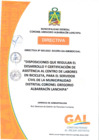 Vista preliminar de documento 2959-2022_directiva_n_005_2022_sggrh_ga_gm_mdcgal_eeff35f9d9071cf0.pdf