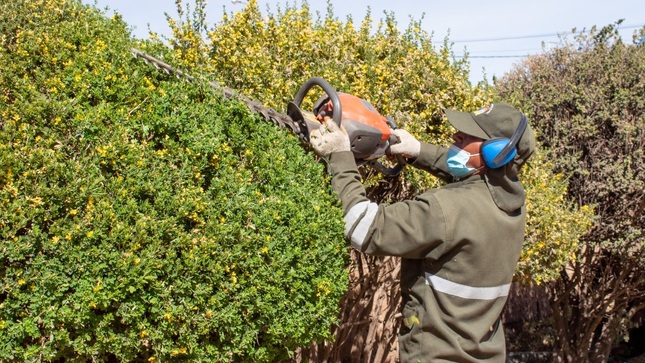 Intervención de las areas verdes de la urbanización 27 de junio proximos a su aniversario
