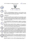 Vista preliminar de documento Resolución Jefatural N° 133-2024-J-INEN