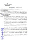 Vista preliminar de documento Ordenanza N.° 00305-2021-MDSA