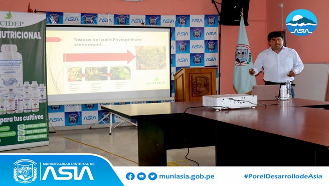 Con gran éxito se realizó el ❞𝑻𝑨𝑳𝑳𝑬𝑹 𝑫𝑬 𝑪𝑨𝑷𝑨𝑪𝑰𝑻𝑨𝑪𝑰𝑶́𝑵 𝑻𝑬́𝑪𝑵𝑰𝑪𝑨 𝑷𝑨𝑹𝑨 𝑳𝑶𝑺 𝑨𝑮𝑹𝑰𝑪𝑼𝑳𝑻𝑶𝑹𝑬𝑺 𝑫𝑬𝑳 𝑫𝑰𝑺𝑻𝑹𝑰𝑻𝑶 𝑫𝑬 𝑨𝑺𝑰𝑨❞ en el Auditorio del Palacio Municipal, en donde participaron productores agrícolas de los diferentes anexos de nuestro distrito.
Este taller tuvo como objetivo que nuestros productores agrarios obtengan mayor información sobre el manejo agronómico en cultivo palto y el manejo integrado de plagas, enfermedades y nutrición en cultivo de durazno y manzana.  
Nuestro alcalde Isaías Alcántara, sigue incentivando el sector agrícola en nuestro Distrito y reafirma su compromiso de apoyo hacia nuestros agricultores.