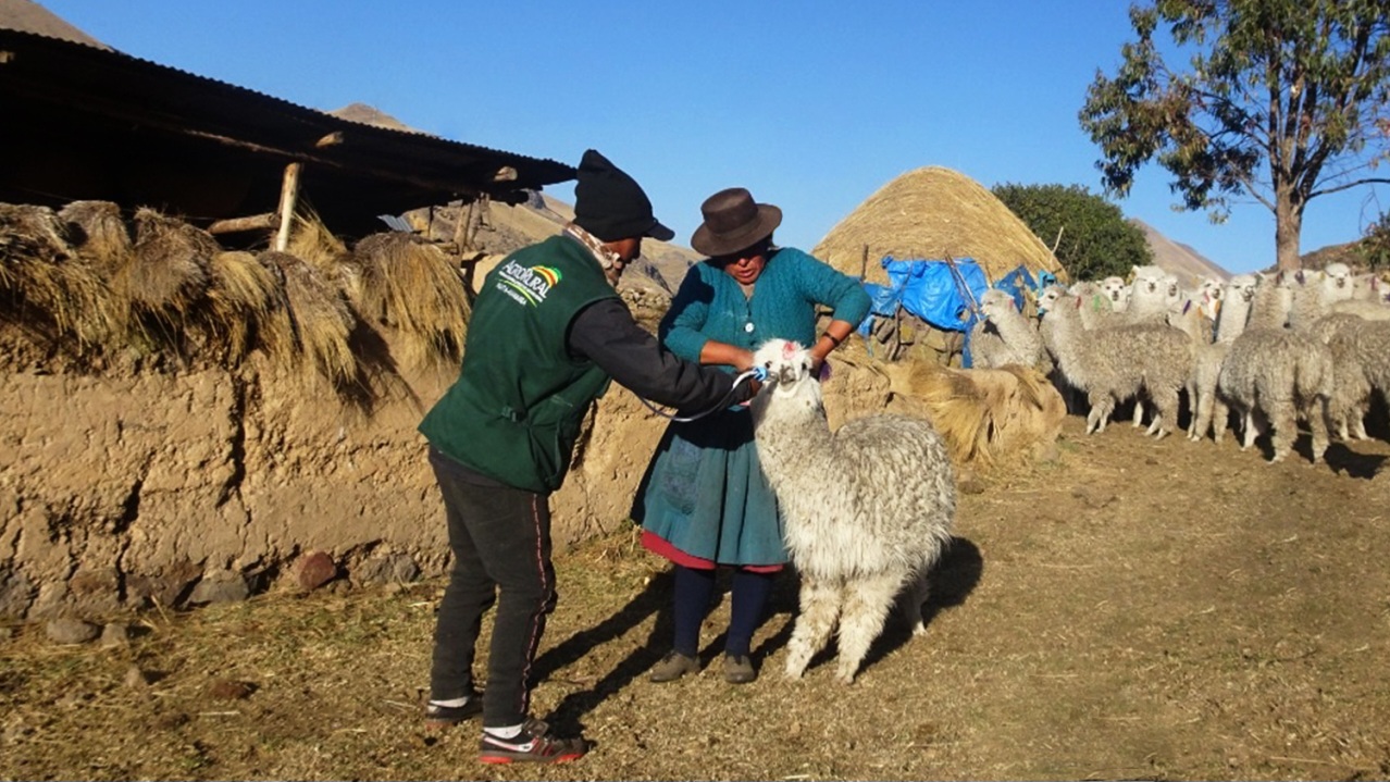 Perú se abriga