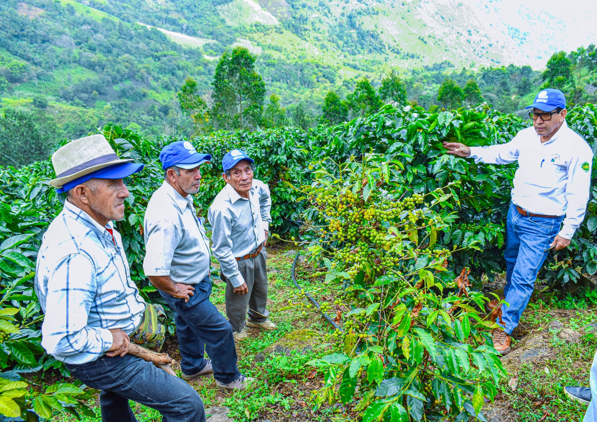 GORE descentraliza celebración por el Día del Campesino en agencias agrarias