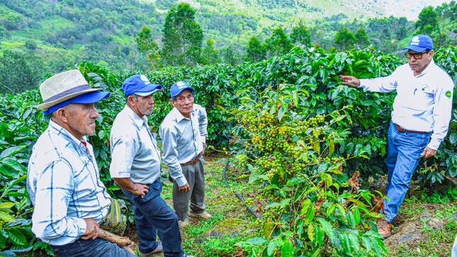 GORE descentraliza celebración por el Día del Campesino en agencias agrarias