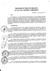 Vista preliminar de documento Resolución de Direccion Ejecutiva N°294-2017-PATPAL-FBB-MML