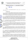 Vista preliminar de documento RESOLUCION JEFATURAL N°135-2024-GORE-ICA-PETACC-JP
