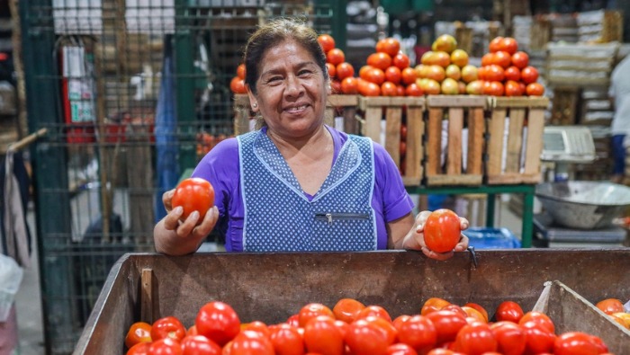 Hoy ofertas en arveja, cebolla, tomate, melón, palta y manzana en los mercados mayoristas