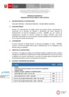 Vista preliminar de documento TDR COMPRA DE PASAJES 25.06.2024