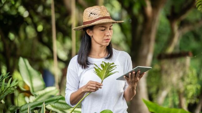 Descubre el impacto de la inteligencia artificial en la conservación de la biodiversidad peruana durante la Semana de la Innovación 2024