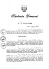 Vista preliminar de documento RD N° 196-2024