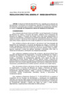 Vista preliminar de documento RDG 000020-2024 ECL Instala Gaviones-Aproba