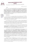Vista preliminar de documento RG_196_2024