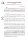 Vista preliminar de documento RG_195_2024
