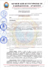 Vista preliminar de documento RESOLUCION DE ALCALDIA Nº 509