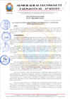 Vista preliminar de documento RESOLUCION DE ALCALDIA Nº 507