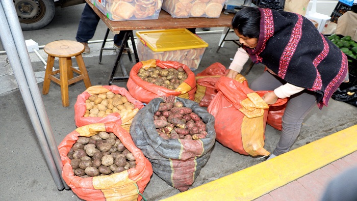 Reconocen a agricultores de la provincia en III Feria Agropecuaria " Mi Chacra Huaralina"