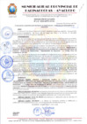 Vista preliminar de documento RESOLUCION DE ALCALDIA Nº 415