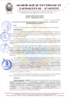 Vista preliminar de documento RESOLUCION DE ALCALDIA Nº 494