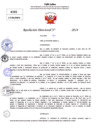 Vista preliminar de documento Resolucion Directoral N° 003907-2024