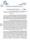 Vista preliminar de documento Resolucion Directoral N° 003913-2024