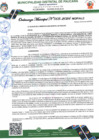 Vista preliminar de documento ORD.MUNI N003-2024-MDP