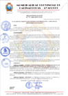 Vista preliminar de documento RESOLUCION DE ALCALDIA Nº 476