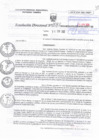 Vista preliminar de documento RD N°0087