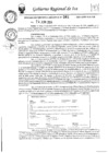 Vista preliminar de documento rer-381-2024-gore-ica-gr