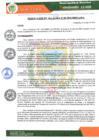 Vista preliminar de documento RESOLUCION DE ALCALDIA N° 89-2024-MDN-LM/A
